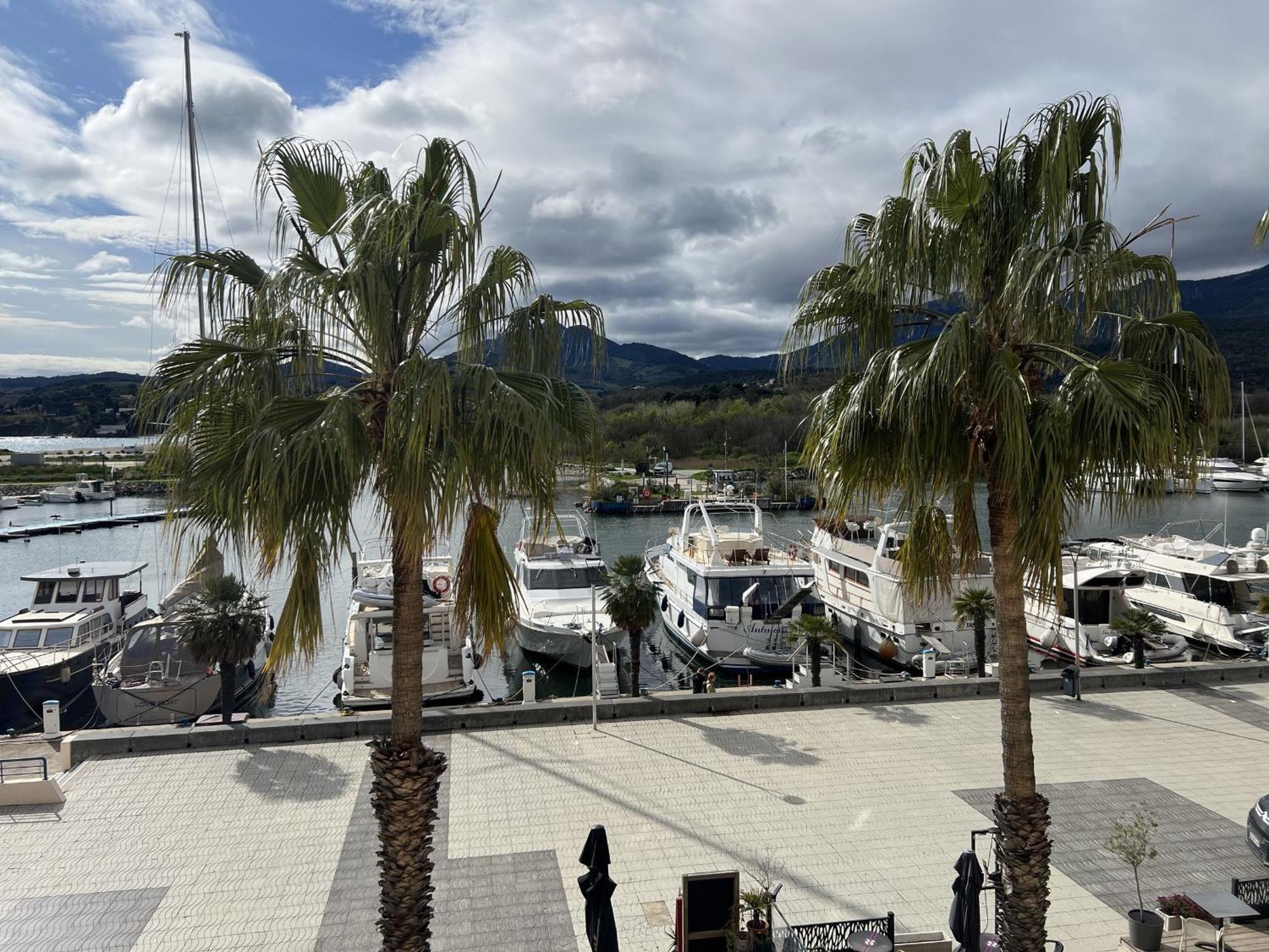 Argeles Sur Mer - Appartement 6 Pers Avec Terrasse Et Parking - Fr-1-309-375 Buitenkant foto